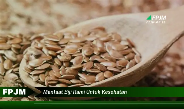 manfaat biji rami untuk kesehatan