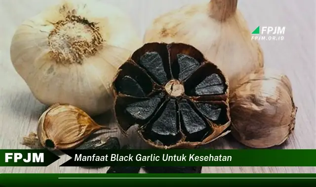 manfaat black garlic untuk kesehatan manfaat black garlic untuk kesehatan