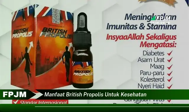 manfaat british propolis untuk kesehatan manfaat british propolis untuk kesehatan
