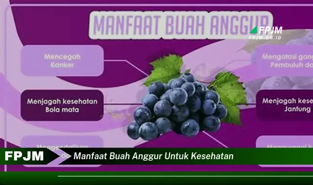 manfaat buah anggur untuk kesehatan