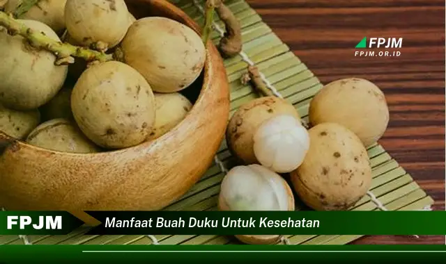 manfaat buah duku untuk kesehatan