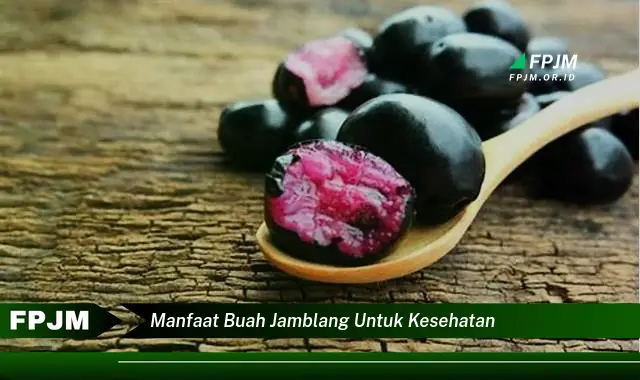 manfaat buah jamblang untuk kesehatan