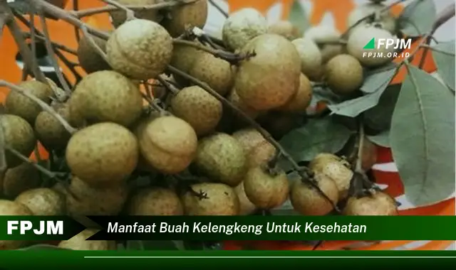 manfaat buah kelengkeng untuk kesehatan