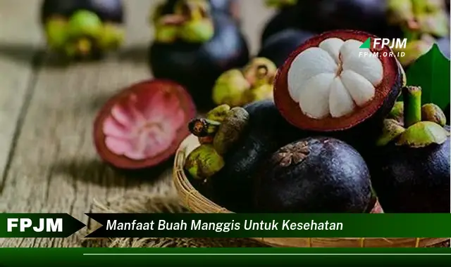 manfaat buah manggis untuk kesehatan