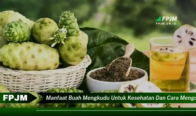 manfaat buah mengkudu untuk kesehatan dan cara mengolahnya