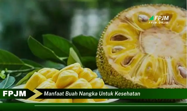 manfaat buah nangka untuk kesehatan