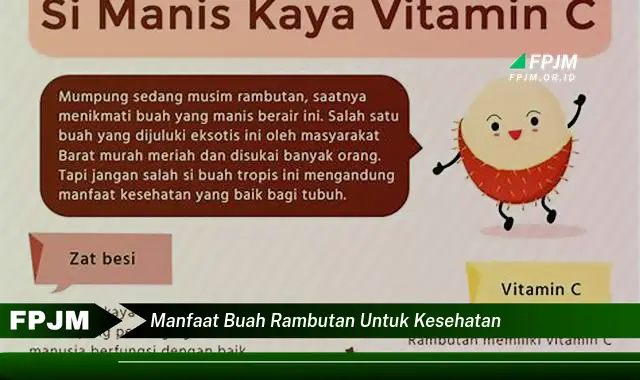 manfaat buah rambutan untuk kesehatan