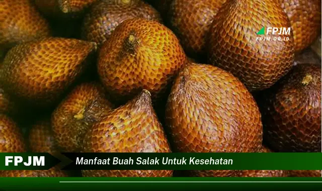 manfaat buah salak untuk kesehatan