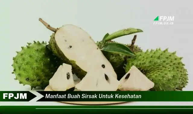 manfaat buah sirsak untuk kesehatan manfaat buah sirsak untuk kesehatan
