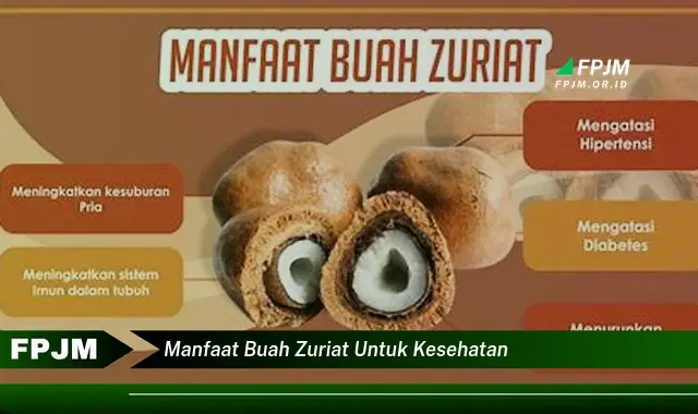 manfaat buah zuriat untuk kesehatan manfaat buah zuriat untuk kesehatan