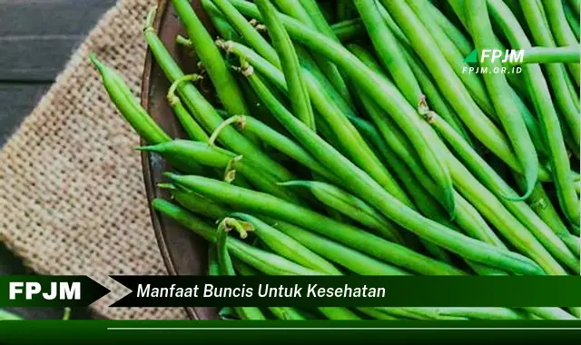 manfaat buncis untuk kesehatan