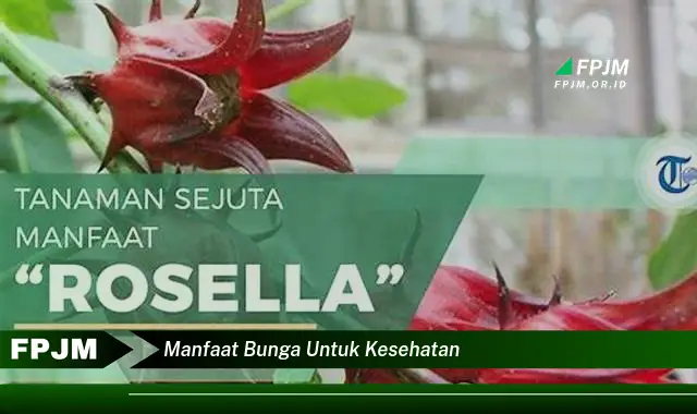 manfaat bunga untuk kesehatan