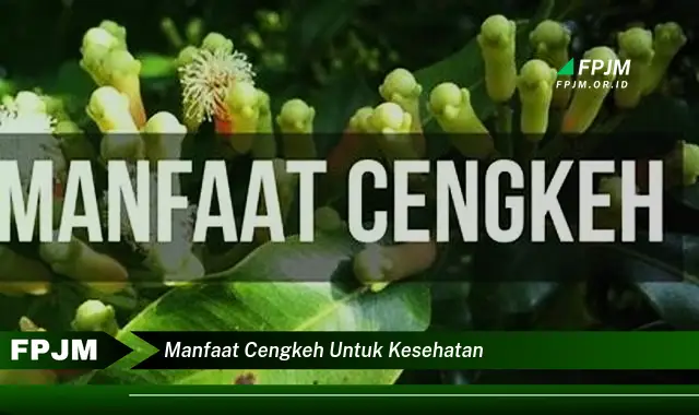 manfaat cengkeh untuk kesehatan manfaat cengkeh untuk kesehatan