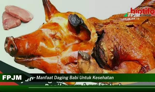 manfaat daging babi untuk kesehatan manfaat daging babi untuk kesehatan
