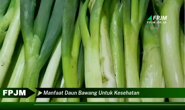 manfaat daun bawang untuk kesehatan