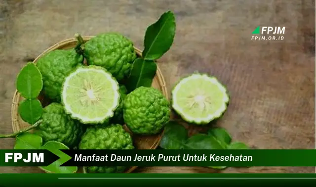 manfaat daun jeruk purut untuk kesehatan