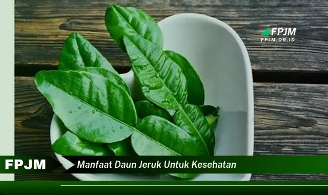 manfaat daun jeruk untuk kesehatan
