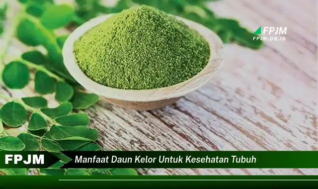 manfaat daun kelor untuk kesehatan tubuh manfaat daun kelor untuk kesehatan tubuh