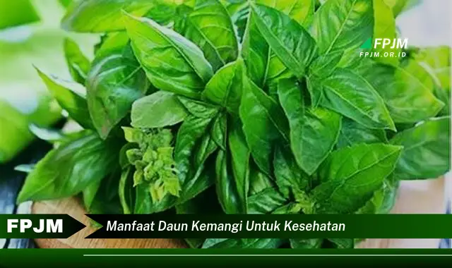 manfaat daun kemangi untuk kesehatan manfaat daun kemangi untuk kesehatan