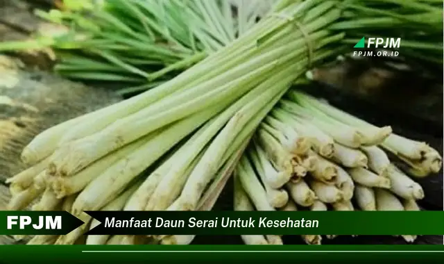 manfaat daun serai untuk kesehatan