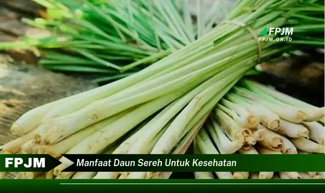 manfaat daun sereh untuk kesehatan