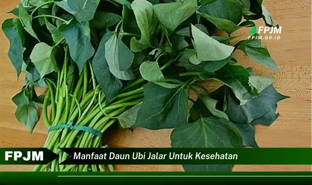 manfaat daun ubi jalar untuk kesehatan