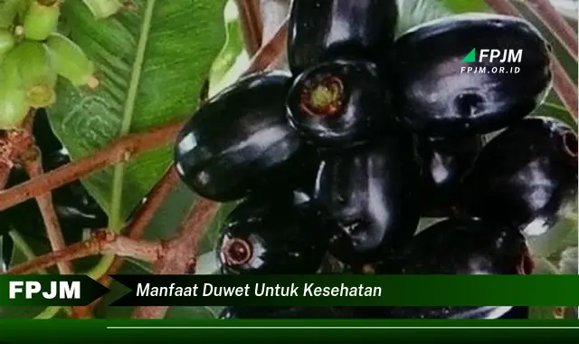 manfaat duwet untuk kesehatan