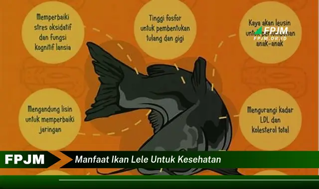 manfaat ikan lele untuk kesehatan