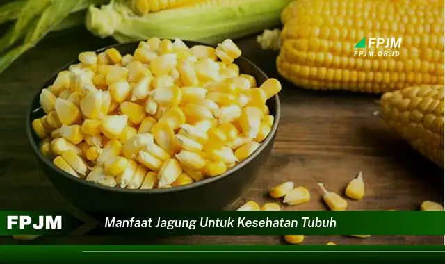 manfaat jagung untuk kesehatan tubuh