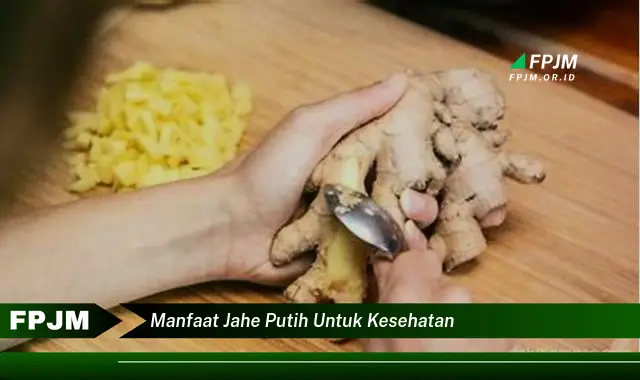 manfaat jahe putih untuk kesehatan