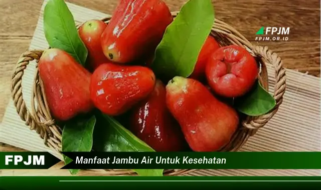 manfaat jambu air untuk kesehatan manfaat jambu air untuk kesehatan