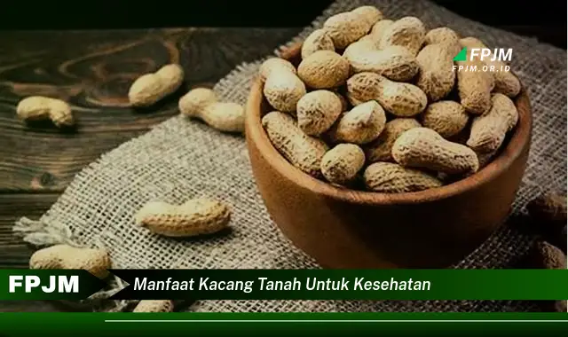 manfaat kacang tanah untuk kesehatan