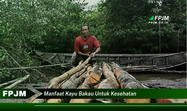 manfaat kayu bakau untuk kesehatan manfaat kayu bakau untuk kesehatan