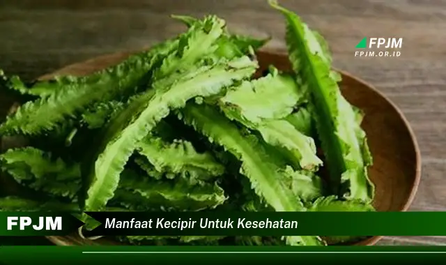 manfaat kecipir untuk kesehatan manfaat kecipir untuk kesehatan