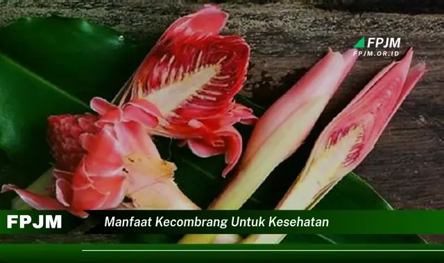 manfaat kecombrang untuk kesehatan