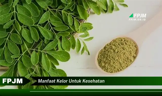 manfaat kelor untuk kesehatan