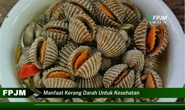 manfaat kerang darah untuk kesehatan