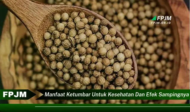 manfaat ketumbar untuk kesehatan dan efek sampingnya manfaat ketumbar untuk kesehatan dan efek sampingnya