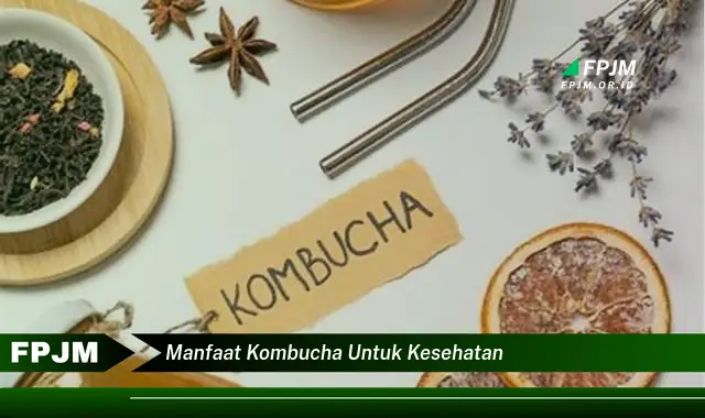 manfaat kombucha untuk kesehatan