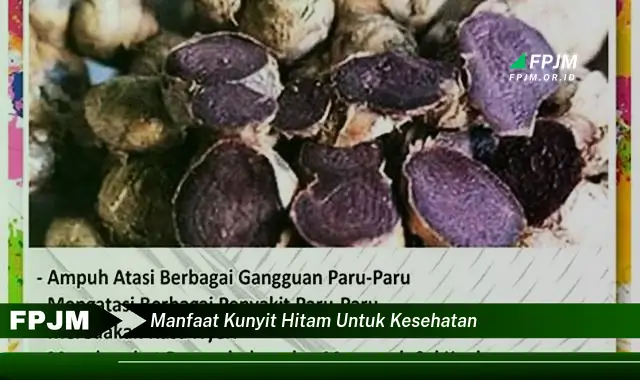 manfaat kunyit hitam untuk kesehatan