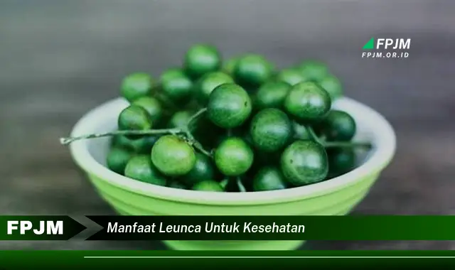 manfaat leunca untuk kesehatan