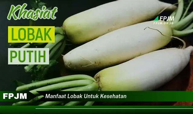 manfaat lobak untuk kesehatan