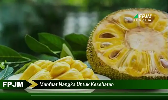 manfaat nangka untuk kesehatan manfaat nangka untuk kesehatan