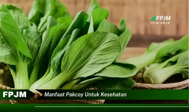 manfaat pakcoy untuk kesehatan
