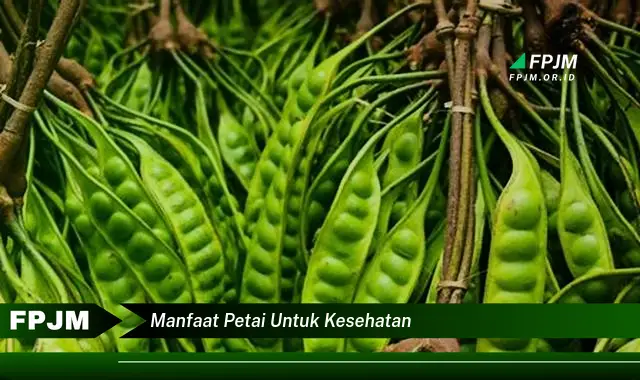 manfaat petai untuk kesehatan