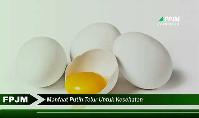 manfaat putih telur untuk kesehatan