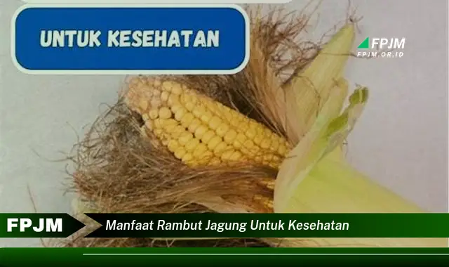 manfaat rambut jagung untuk kesehatan