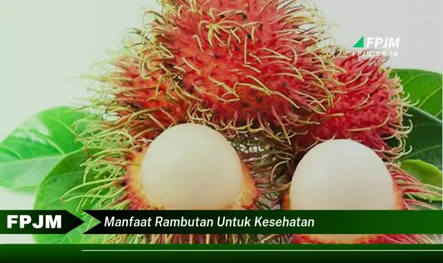 manfaat rambutan untuk kesehatan