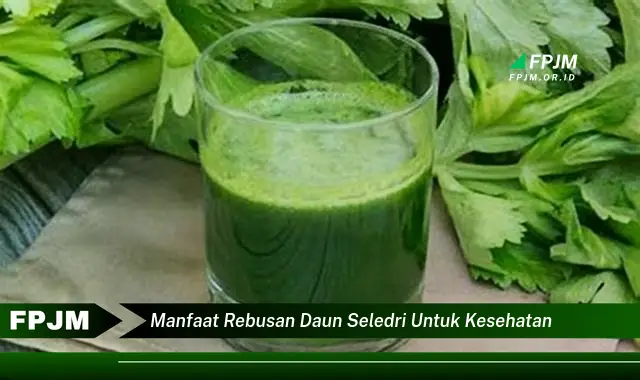 manfaat rebusan daun seledri untuk kesehatan