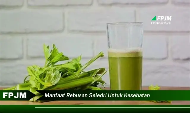 manfaat rebusan seledri untuk kesehatan